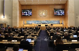 Khẳng định cam kết, nỗ lực, thành tựu trong bảo vệ, thúc đẩy quyền con người của Việt Nam