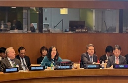 Việt Nam chủ trì tọa đàm về sử dụng hòa bình năng lượng hạt nhân 