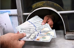 Chỉ số đồng USD neo ở mức cao nhất hai tuần