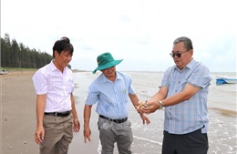 Vĩnh Long khảo sát gỡ khó cho nghề nuôi nghêu