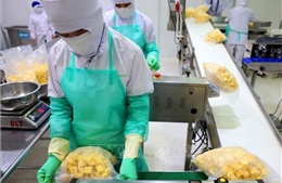 Việt Nam cập nhật các điểm mới trong quản lý nhà nước về xuất xứ hàng hóa