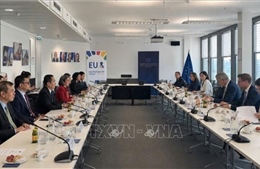 ASEAN - EU thúc đẩy chủ nghĩa đa phương và cải tổ LHQ 