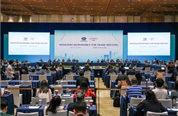 APEC nhấn mạnh thúc đẩy hợp tác thương mại, kinh tế số và tăng trưởng xanh