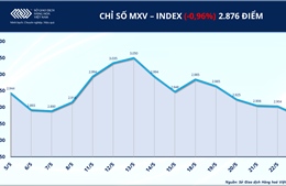Áp lực bán lan rộng, MXV-Index rời vùng 2.900 điểm