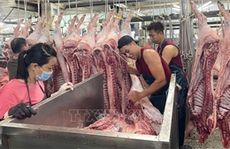 TP Hồ Chí Minh siết chặt kiểm soát giết mổ, đảm bảo an toàn thực phẩm