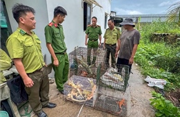 Tây Ninh 'mạnh tay' xử lý vi phạm động vật hoang dã