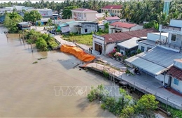 Cần Thơ tìm lời giải căn cơ cho bài toán sạt lở