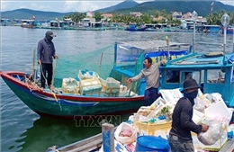 Xã hội hóa thu gom rác, hồi sinh môi trường nuôi biển Vân Phong