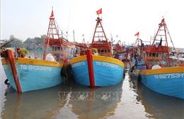 Khắc phục 'thẻ vàng' IUU: Xử lý dứt điểm tàu cá không đủ điều kiện hoạt động