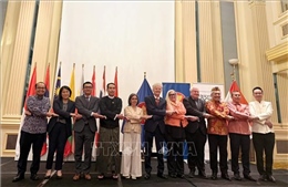Tỏa sáng sắc màu, hương vị ASEAN trong Ngày Văn hóa ASEAN 2026 tại Áo