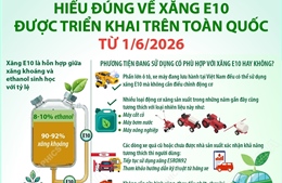 Hiểu đúng về xăng E10 được triển khai trên toàn quốc từ ngày 1/6/2026