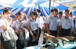 Phê duyệt Chương trình Sức khỏe học đường giai đoạn 2026-2035