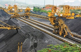 Nhu cầu than trong tháng 5 cao nhất từ đầu năm đến nay