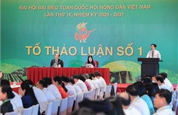 Đại hội IX Hội Nông dân Việt Nam: Các đại biểu thảo luận tại tổ
