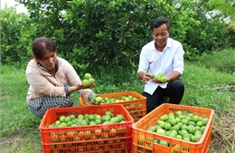 Chuẩn hóa vùng trồng, mở rộng cơ hội xuất khẩu nông sản