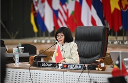 Việt Nam thúc đẩy đối thoại vì một ASEAN gắn kết và bao trùm hơn