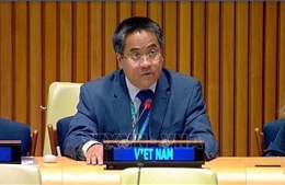 Việt Nam ủng hộ cải tổ HĐBA thông qua tiến trình đàm phán liên chính phủ