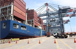 Việt Nam - ASEAN: Kiến tạo động lực tăng trưởng mới