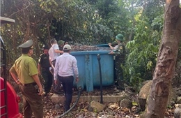 Đặc khu Cồn Cỏ tạm dừng cắm trại, dã ngoại trong và ven rừng để phòng cháy rừng
