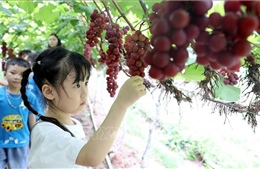 Đánh thức giá trị mới của nông nghiệp trước biến đổi khí hậu