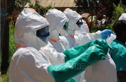 Dịch Ebola: Tây Phi tăng cường các biện pháp chuẩn bị và phòng ngừa