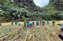 Mưa lớn gây lũ quét và sạt lở đất tại Tuyên Quang