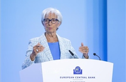 Chủ tịch ECB: Châu Âu đang ngày càng kiên cường hơn trước những cú sốc kinh tế
