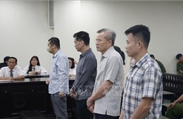 Cựu Chủ tịch Công ty Nam Triệu bị phạt 29 năm tù