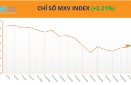 Cà phê tăng phiên thứ ba liên tiếp, MXV-Index nhích lên 2.574 điểm 