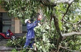 Quảng Ninh khắc phục hậu quả bão số 1, thiệt hại ước khoảng 20 tỷ đồng 