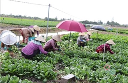Hơn 51.000 lượt hộ nghèo được vay vốn tín dụng chính sách