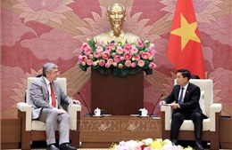 Phát triển thực chất, bền vững quan hệ chiến lược Việt Nam - Liên bang Nga