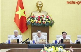 UBTV Quốc hội cho ý kiến về luật sửa đổi 10 luật có liên quan lĩnh vực nông nghiệp và môi trường