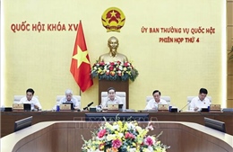 Ủy ban Thường vụ Quốc hội cho ý kiến về các dự án luật