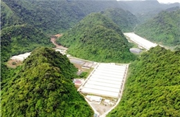 7 người thương vong trong vụ tai nạn tại trang trại lợn ở Thanh Hóa