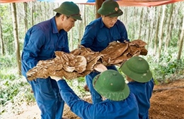 Hành trình tri ân chạm đến trái tim- Bài 1: Cuộc hành quân chưa kết thúc 