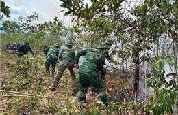 Huế liên tiếp ghi nhận các điểm cháy rừng do nắng nóng