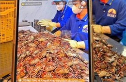 Cà Mau: Đặt kỳ vọng vào chuyển đổi số để thúc đẩy tăng trưởng