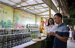 Khai mạc Chợ quê thời Mạc, tôn vinh sản phẩm OCOP Hải Phòng
