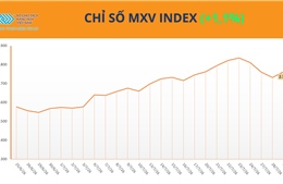 MXV-Index đảo chiều sau nhịp điều chỉnh, năng lượng dẫn dắt đà tăng 
