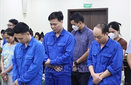 Hai cựu lãnh đạo Cục Hải quan lĩnh 13 năm tù trong vụ sản xuất thực phẩm giả ở MediPhar