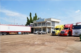 Từ 25 - 30% xe đầu kéo phải nằm bãi vì thiếu tài xế