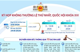 Kỳ họp không thường lệ thứ Nhất, Quốc hội khóa XVI