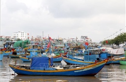Lâm Đồng khẩn cấp kích hoạt phương án ứng phó áp thấp nhiệt đới