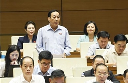 Đại biểu Quốc hội đề xuất đưa kinh doanh kim cương, đá quý vào ngành nghề có điều kiện