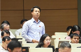 Tránh lợi dụng chính sách để hợp thức hóa hành vi vi phạm