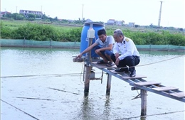 Mô hình kinh tế bền vững từ nuôi cá chạch đồng