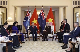 Tổng Bí thư, Chủ tịch nước Tô Lâm hội kiến Toàn quyền Australia