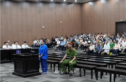Điều tra bổ sung vụ lừa đảo hàng trăm tỷ đồng góp vốn trồng sâm Ngọc Linh