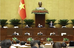 Thông cáo báo chí số 11, Kỳ họp không thường lệ thứ Nhất, Quốc hội khóa XVI